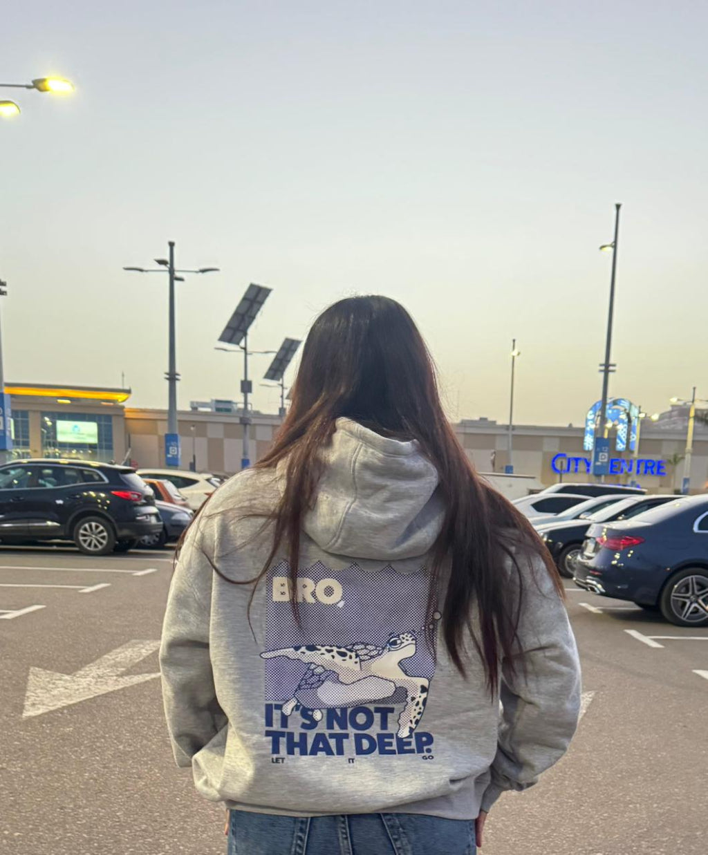 Cotton Hoodie - Bro! It's not that deep.