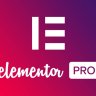 Elementor Pro | WordPress Websites Builder [Premium]